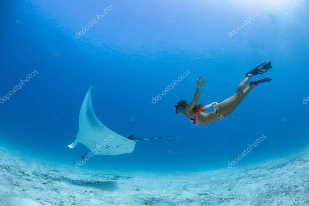 Schnorchler an einem Riff im Roten Meer